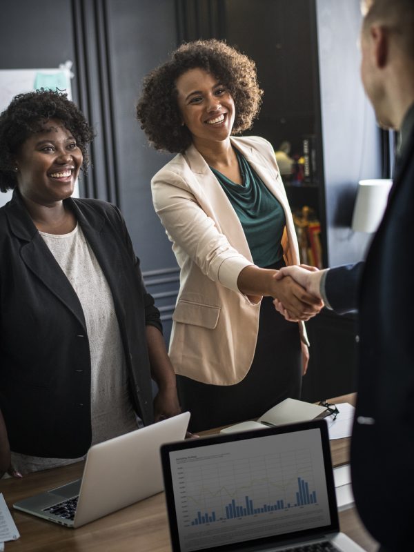 Business partners shaking hands in agreement